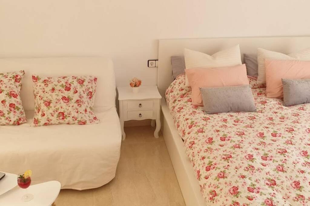 Apartamento Pepa. En El Corazon Del Delta. سانت جاومي د إنفيجا المظهر الخارجي الصورة